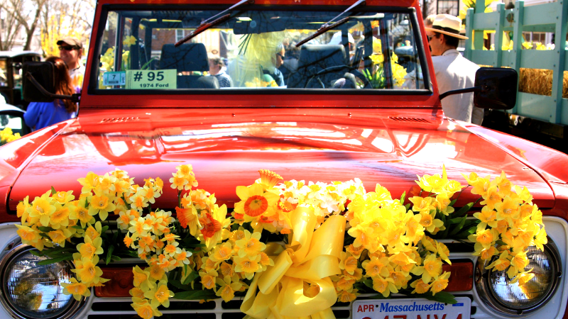 Daffodil Festival Wine Tastings